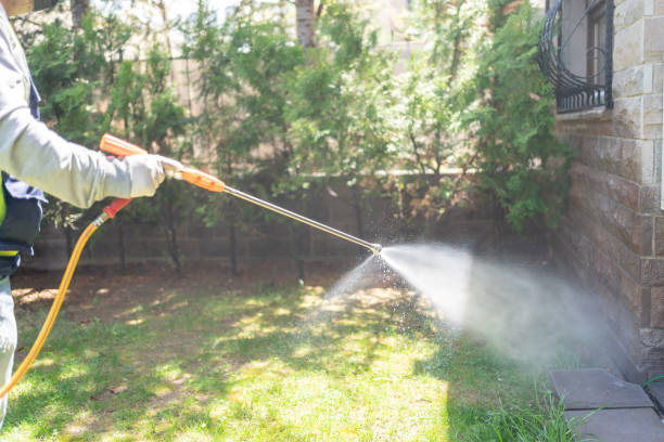 Best Pest Exclusion Services  in Great River, NY